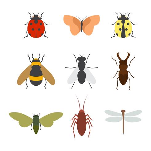 Colección de vectores de insectos gratis