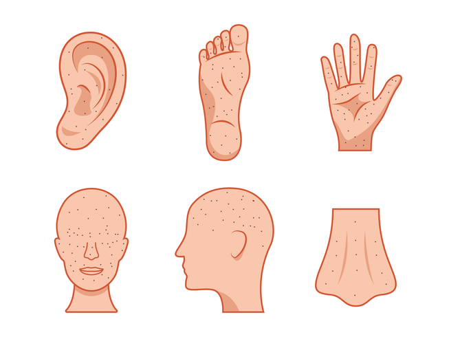 Acupuncture Point Vector