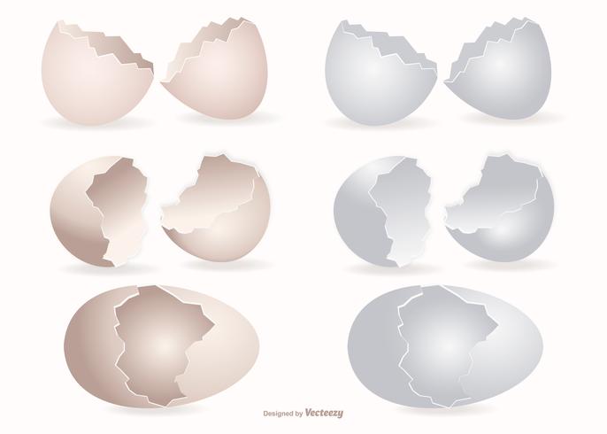 Broken Egg Shells Collection vector