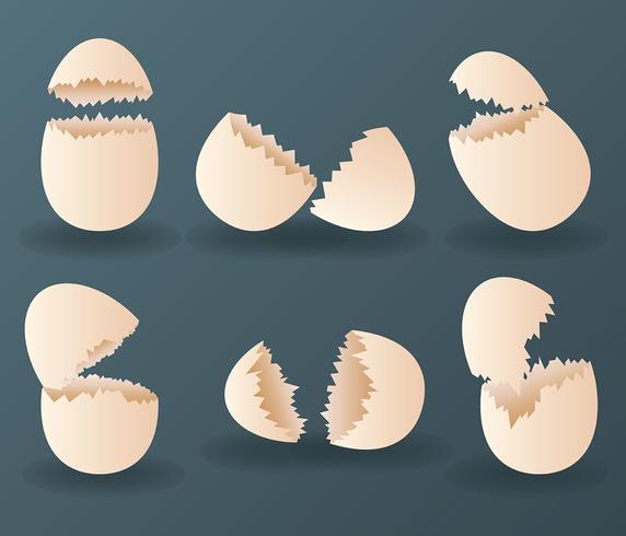 Broken Egg Vector Icon