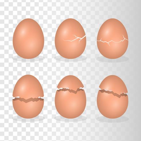 Eggs With Crack Effect Illustration vector