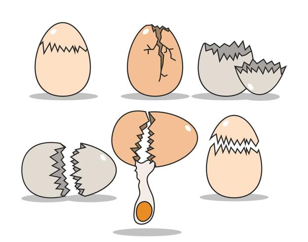 Conjunto de vector de huevo roto