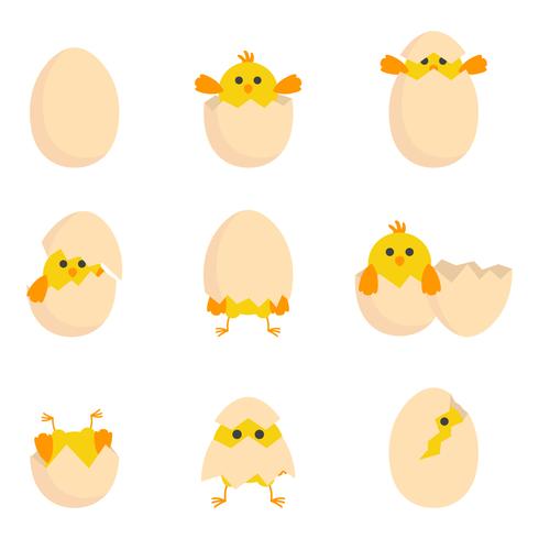 Colección de huevos rotos gratis vector