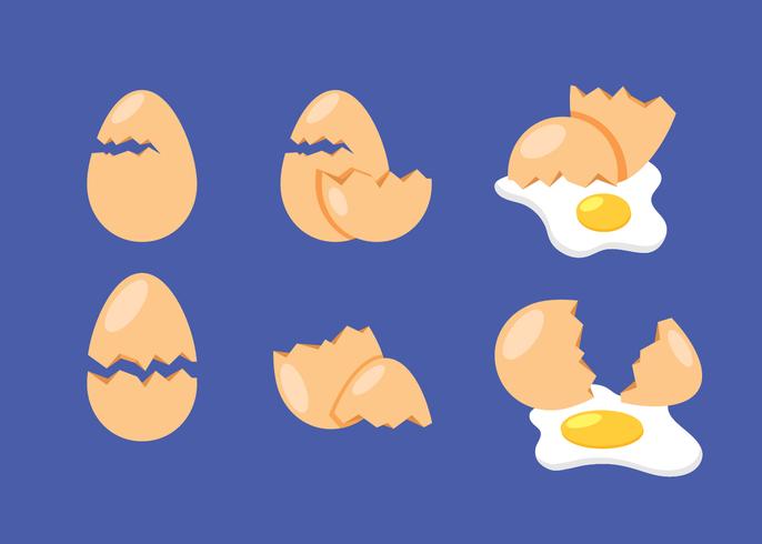 Broken Egg Collection vector