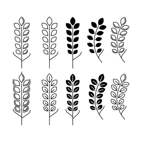 Modern Wheat Ears Vectors