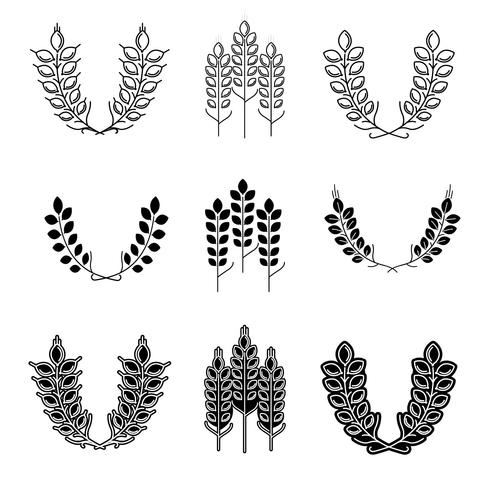 Símbolos de trigo espigas para diseños de logotipo vector