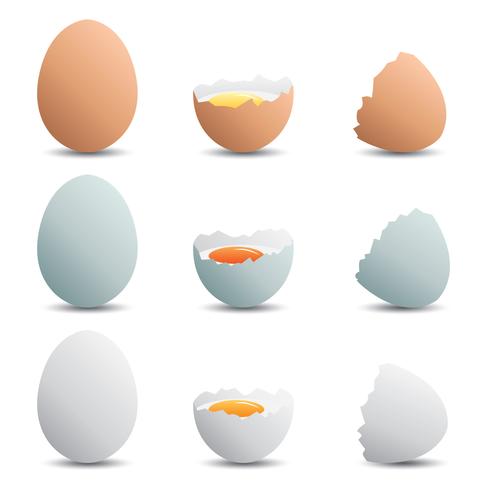 Broken Egg Vector Pack 