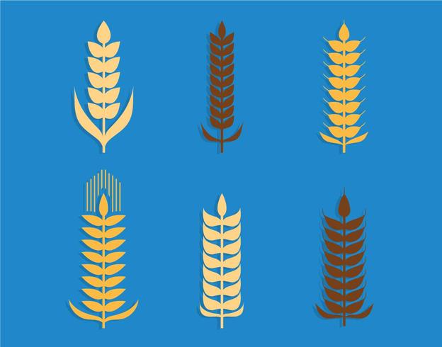 Wheat ears vector set