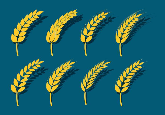 Wheat Ears Icons vector