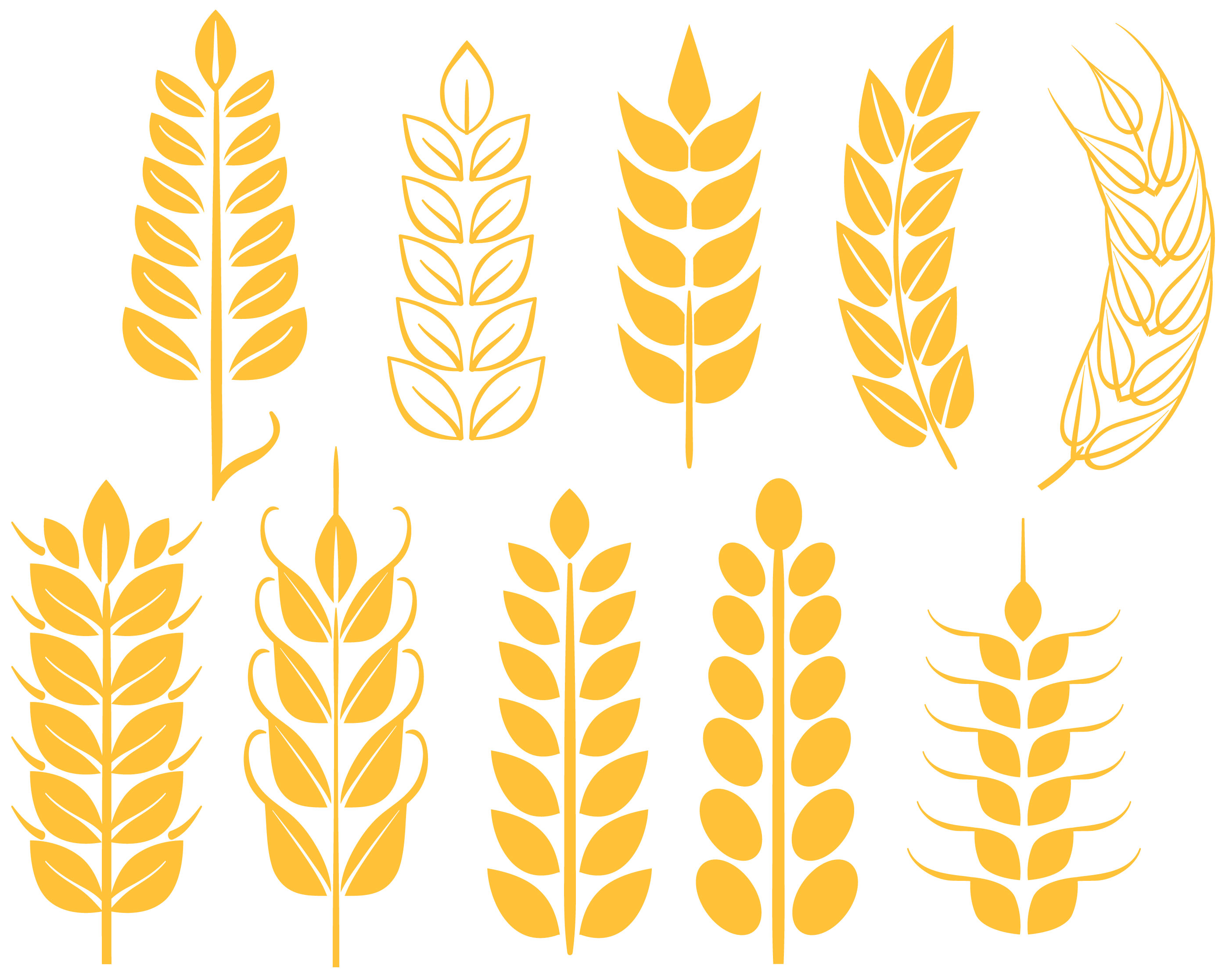 Free Wheat Vectors 166387 Vector Art at Vecteezy