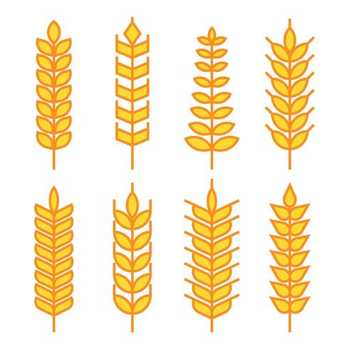 Wheat Ears Vector Icons