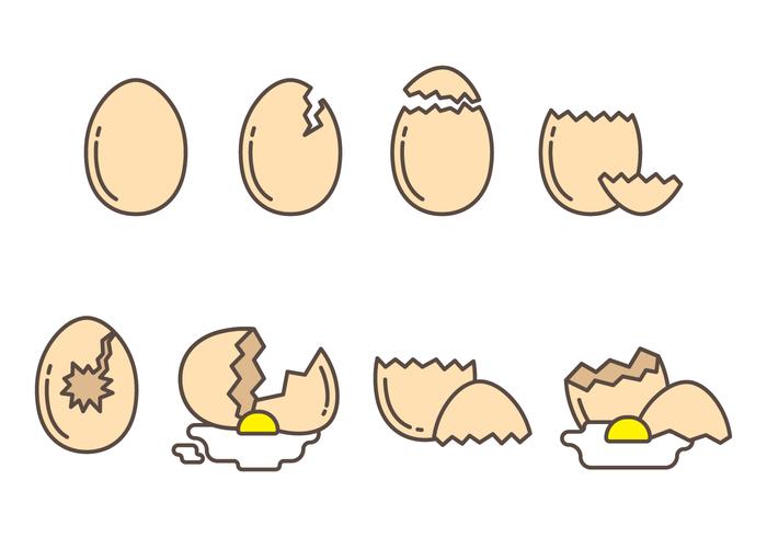 Free Broken Egg Vector Collection