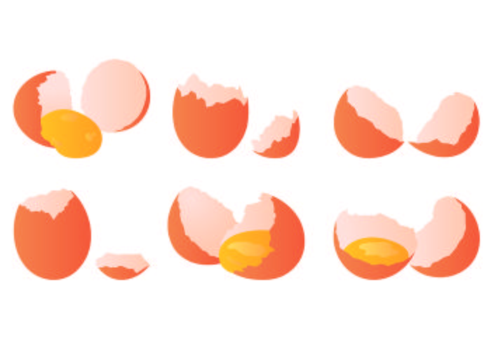 Set Of Broken Egg Vector