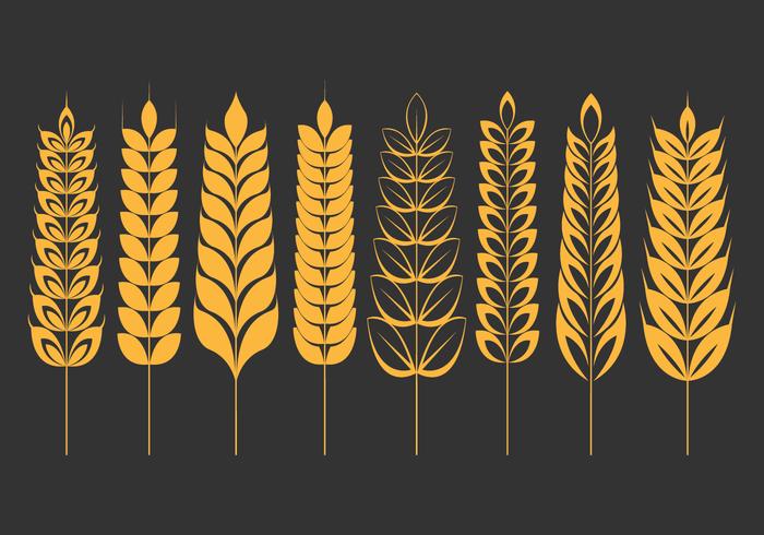 Wheat Ears Icons Set vector