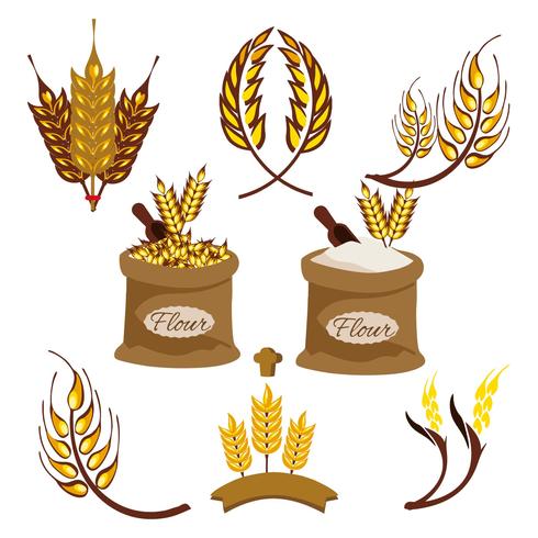 Wheat Ears Vector 