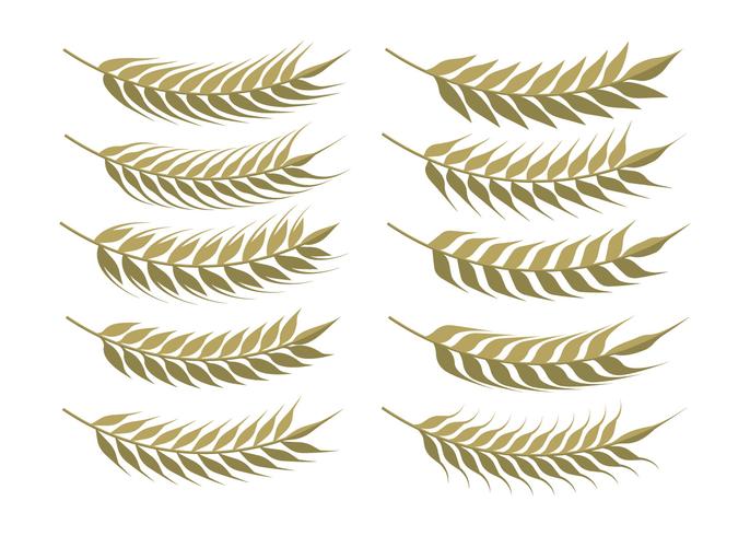 Wheat Ears Set vector