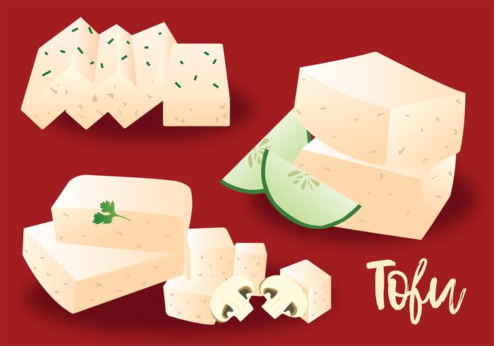 Paquete de vectores de tofu