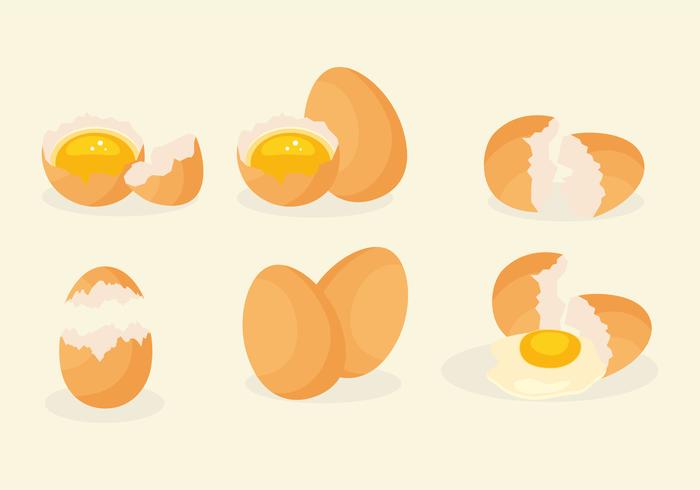 Huevos rotos realistas vector