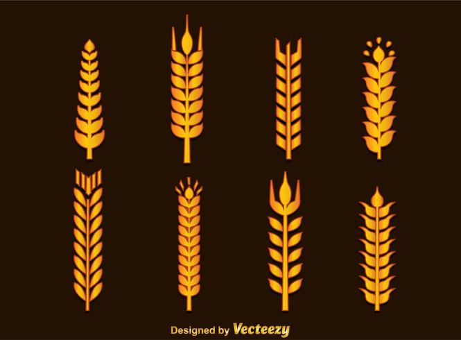 Wheat Ears Vector