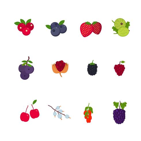 Berry Fruits Vectors