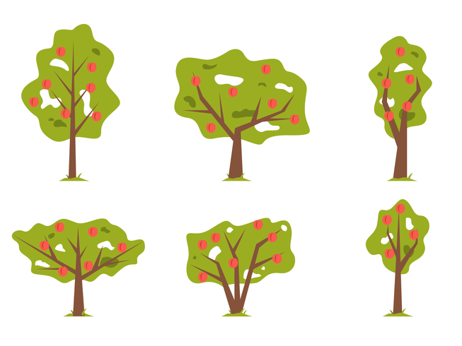 Vector plano del árbol de melocotón