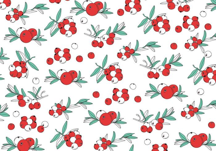 Cranberries Pattern Vector 