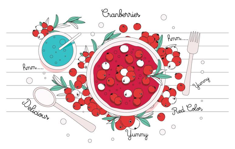 Delicious Cranberries Vector