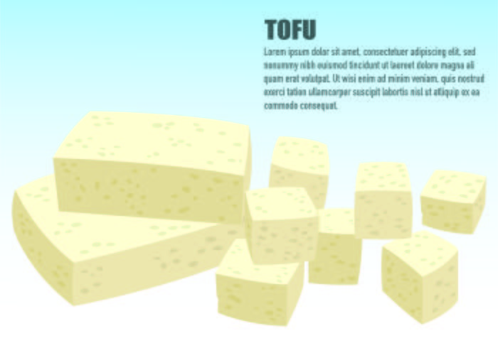 Ilustración del concepto de Tofu vector