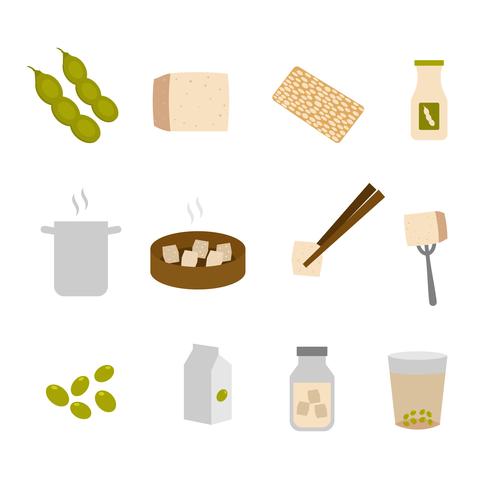 Tofu Ingredients Vector Collection