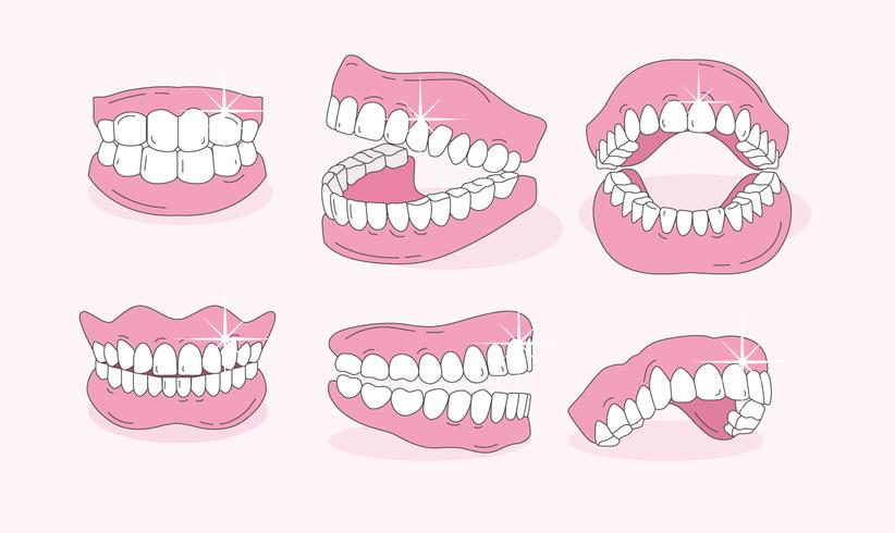 False Teeth Vector