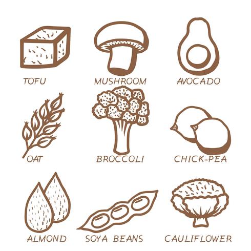 Vegan Food Icon Vector