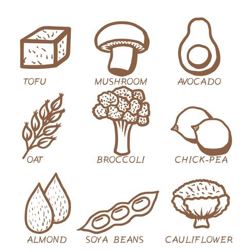 Vegan Food Icon Vector