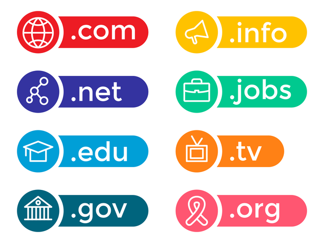 Colorful Domain Icon Vector