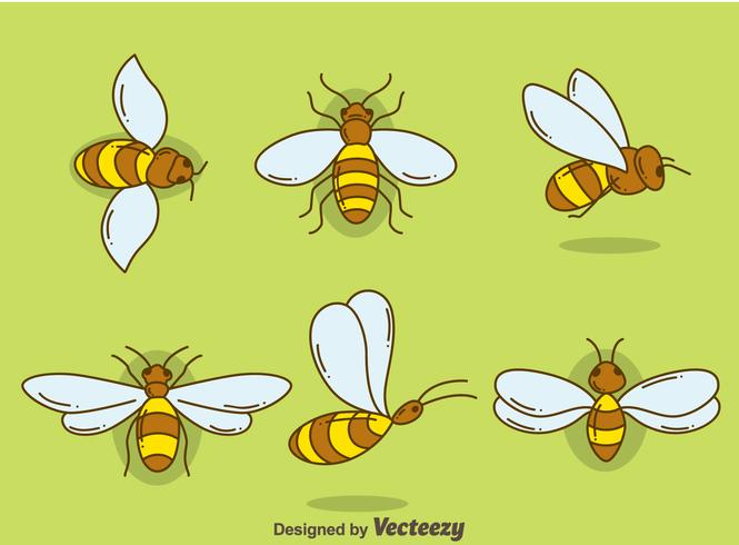 Hand Drawn Hornets Collection Vector