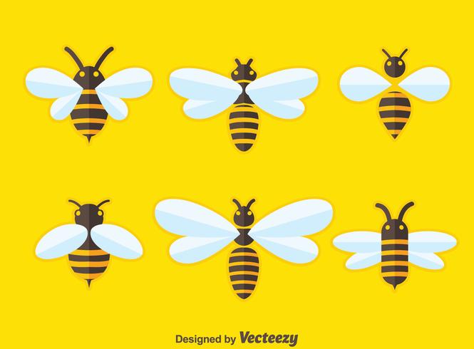 Flat Hornets Colection Vector