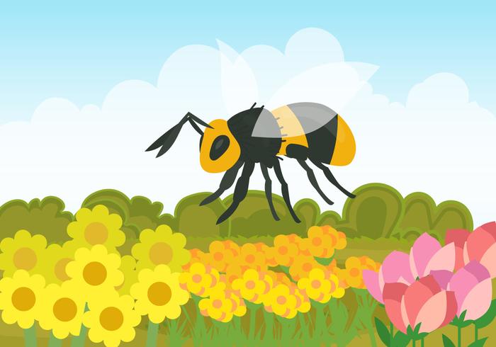 A Hornet In The Field Of Flowers vector