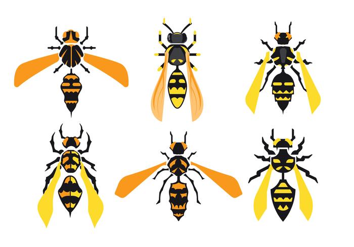 Set of Giant Hornets Isolated on White Background vector