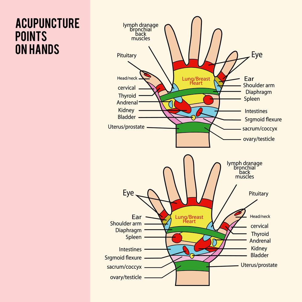 Acupuncture Point on Hands Vector 168345 Vector Art at Vecteezy