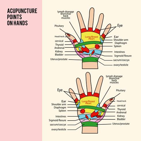 Punto de acupuntura en Vector de manos