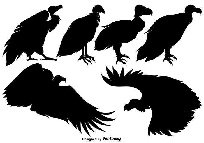 Vector Buzzard Silhouettes Set