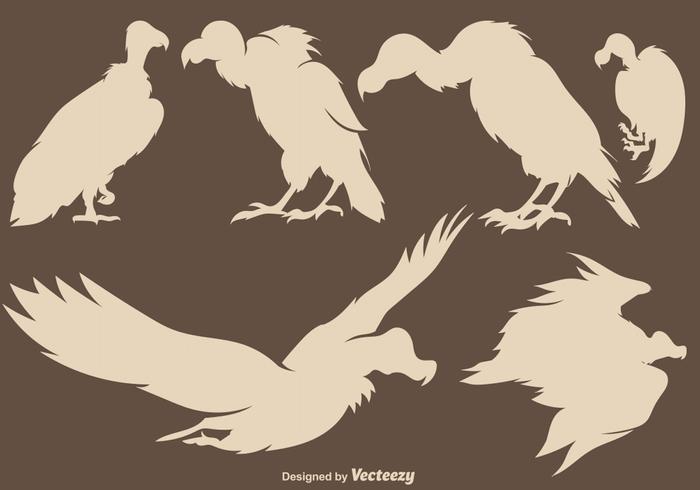 Vector Buzzard Silhouettes Set