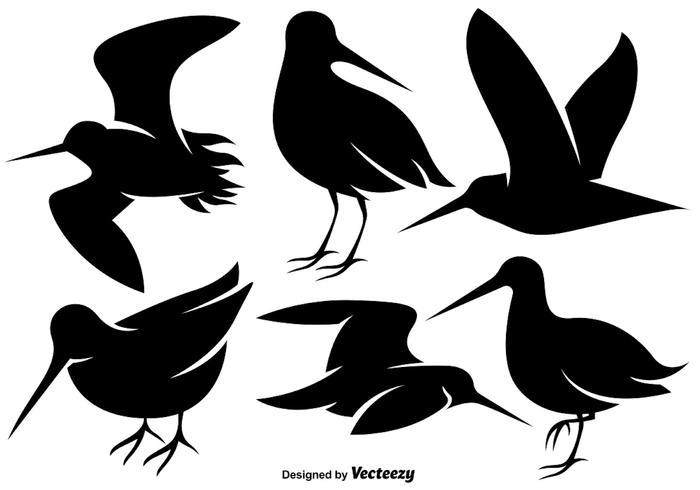 Vector iconos planos de aves snipe