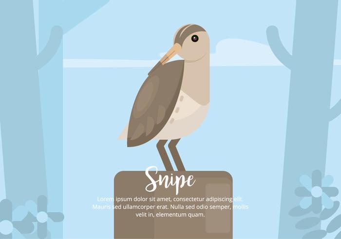 Snipe Illustration vector