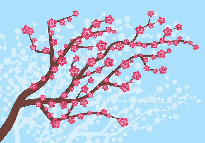 Plum Blossom In Spring Illustration vector