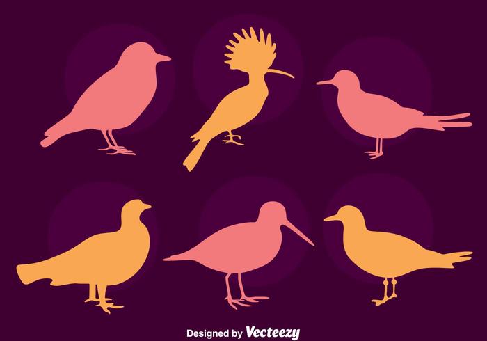 Bird Silhouette Collection Vector