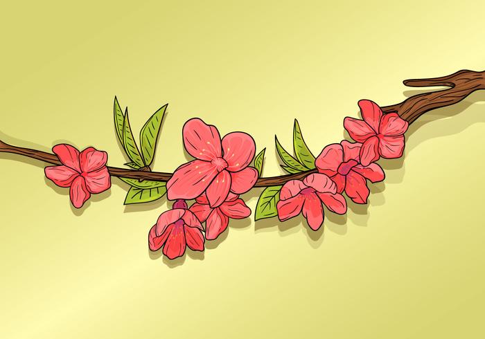 Beautiful Plum Blossom vector