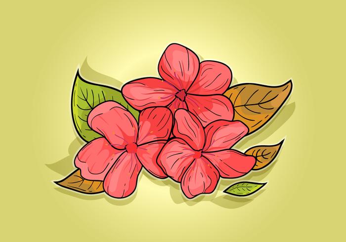 Dibujado a mano Plum Blossom vector