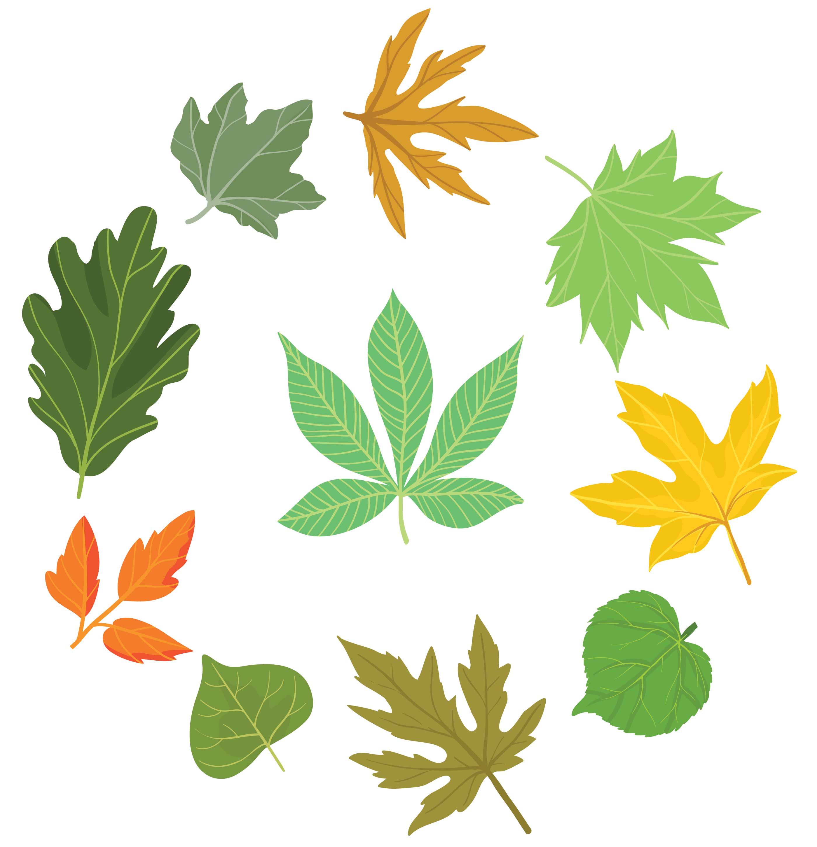 Free Various Leaves Vectors - Download Free Vectors, Clipart Graphics