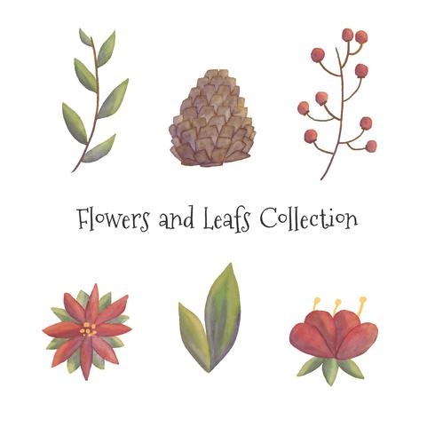 Cute Christmas Flowers And Leafs Collection vector