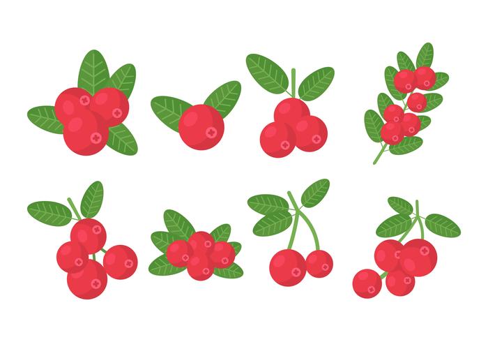 Free Cranberries Vector Collection